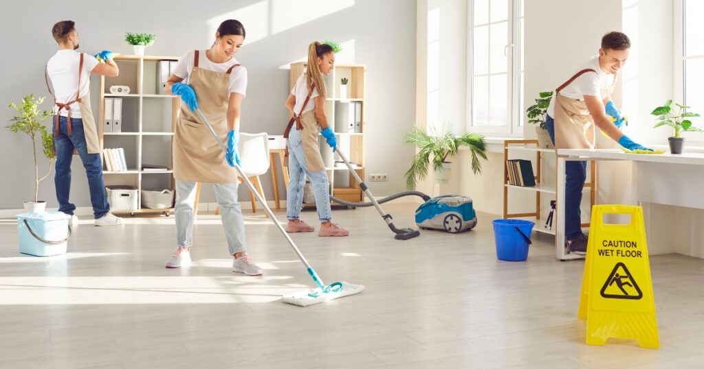 professional cleaning service